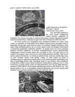 Презентация 'Latvijas aerofotogrāfēšanas vēsture un materiāli līdz 1960.gadam', 2.