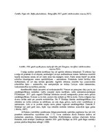 Презентация 'Latvijas aerofotogrāfēšanas vēsture un materiāli līdz 1960.gadam', 3.