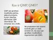 Презентация 'Ģenētiski modificēta pārtika', 2.