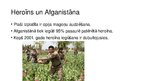 Презентация 'Prezentācija par Afganistānu', 18.
