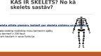 Презентация 'Kas ir skelets?', 1.