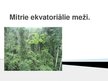 Презентация 'Mitrie ekvatoriālie meži', 1.