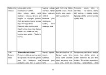 Отчёт по практике 'Pirmsskolas izglītības prakse', 11.