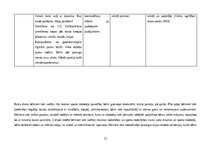 Отчёт по практике 'Pirmsskolas izglītības prakse', 12.