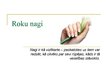 Презентация 'Roku nagi', 1.