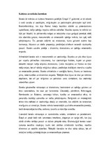 Эссе 'Baroks – mākslas, filozofijas un sabiedrības mijiedarbība', 1.