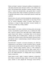 Эссе 'Baroks – mākslas, filozofijas un sabiedrības mijiedarbība', 2.