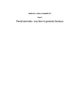 Эссе 'Social Networks - Way to Promote Business', 1.