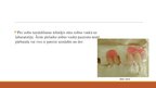 Презентация 'Izņemamās parciālās zobu protēzes ar plastmasas bāzi izgatavošanas klīniskie, la', 19.