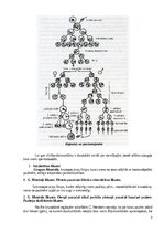 Конспект 'Ģenētikas teorijas konspekts', 3.