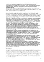 Отчёт по практике 'Atskaite par agrīnās bērnības pedagoģisko praksi', 8.