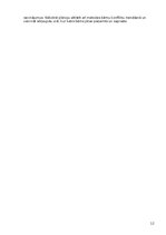 Отчёт по практике 'Atskaite par agrīnās bērnības pedagoģisko praksi', 12.