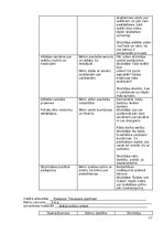 Отчёт по практике 'Atskaite par agrīnās bērnības pedagoģisko praksi', 17.