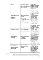 Отчёт по практике 'Atskaite par agrīnās bērnības pedagoģisko praksi', 19.