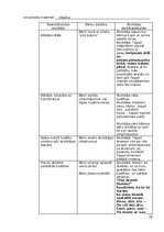 Отчёт по практике 'Atskaite par agrīnās bērnības pedagoģisko praksi', 20.