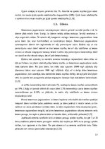 Реферат 'Betons un tā izmantošana celtniecībā', 13.