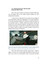 Дипломная 'La réalité virtuelle au cinéma: La confusion entre la réalité et la simulation', 28.