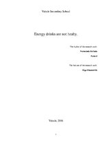Реферат 'Energy Drinks Are not Healthy', 1.