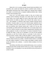 Реферат 'Pārvaldīšanas plāns', 3.