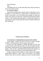 Отчёт по практике 'Sociālā pedagoga prakses atskaite', 30.