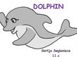 Презентация 'Dolphin', 1.