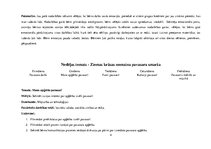 Отчёт по практике 'Kvalifikācijas prakses dienasgrāmta. Pirmsskola', 4.