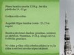 Презентация 'Viduslaiku arhitektūra Rīgā. Gotika un romānika. Rīgas doms, Melngalvju nams, Jā', 5.