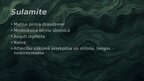 Презентация '"Svina garša" tēlu raksturojums', 8.