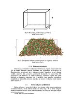 Реферат 'Biomasas izmantošana enrģētikā', 16.