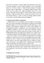 Дипломная 'Ieroču un munīcijas klasifikācija, to aprite Latvijā, sprāgstvielu iedalījums', 26.