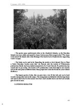 Э-книга 'Тайный остров', 137.