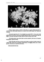 Э-книга 'Тайный остров', 138.