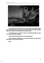 Э-книга 'Тайный остров', 143.