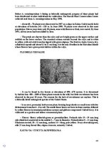 Э-книга 'Тайный остров', 145.