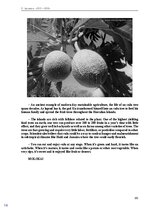 Э-книга 'Тайный остров', 147.
