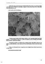 Э-книга 'Тайный остров', 154.