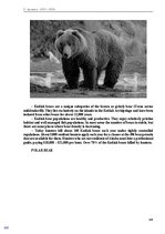 Э-книга 'Тайный остров', 316.