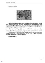 Э-книга 'Тайный остров', 321.