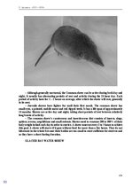 Э-книга 'Тайный остров', 322.