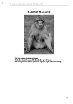 Э-книга 'Тайный остров', 362.