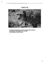 Э-книга 'Тайный остров', 372.