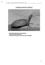 Э-книга 'Тайный остров', 383.