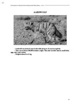 Э-книга 'Тайный остров', 385.