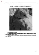 Э-книга 'Тайный остров', 392.