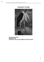 Э-книга 'Тайный остров', 402.