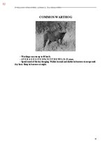 Э-книга 'Тайный остров', 410.