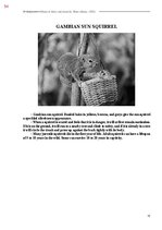 Э-книга 'Тайный остров', 412.