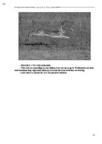 Э-книга 'Тайный остров', 418.