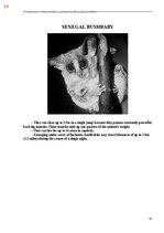 Э-книга 'Тайный остров', 427.