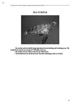 Э-книга 'Тайный остров', 431.